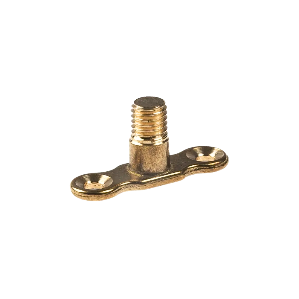 Brass Male Backplate (M10 Thread)