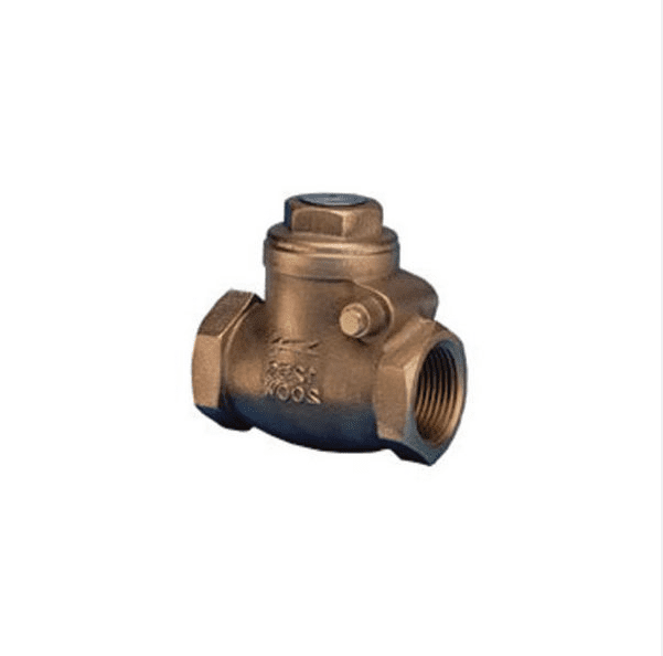 3/4" BSP Swing Check Valve