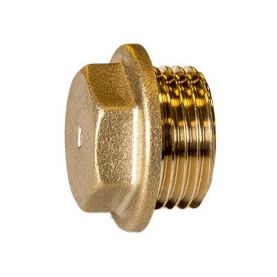 1" Flanged Plug